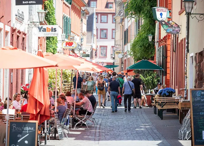 Panorama 3* Heidelberg