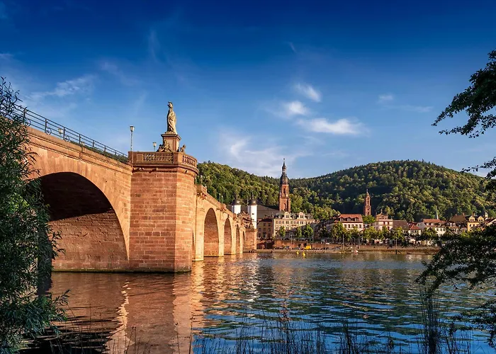 호텔 파노라마 백물드